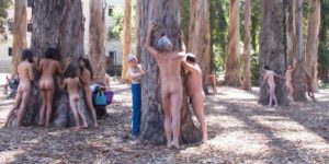 naked tree huggers