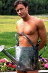 gay gardener