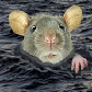 drowning rat II